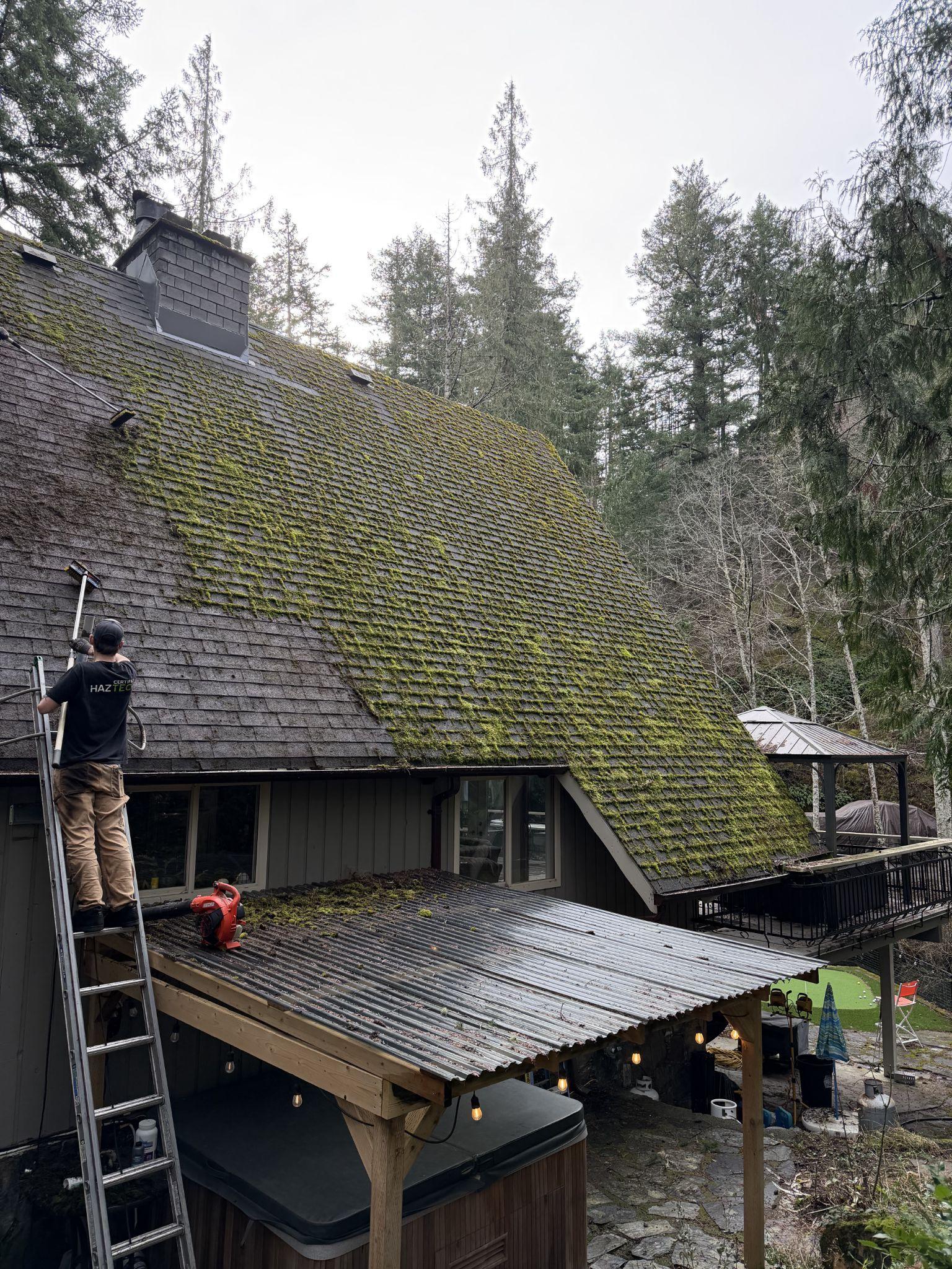 AnyWeather technician cleaning moss off a roof in Greater Victoria